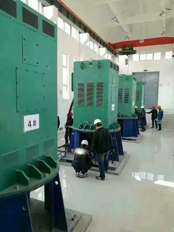 义马某污水处理厂使用我厂的立式高压电机安装现场